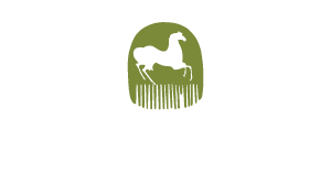 logo terra di cuma