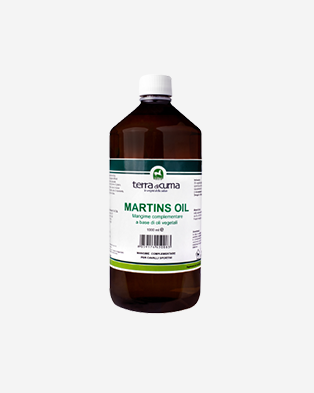 martins oil