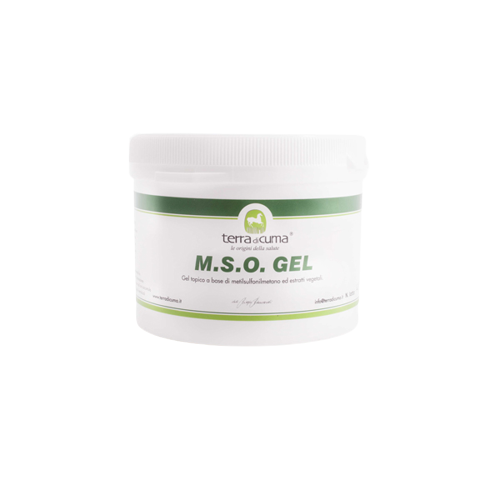 mso gel