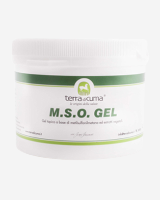 mso gel